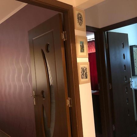 Apartament Cu 3 Camere La Poala Muntilor Fagaras فيكتوريا المظهر الخارجي الصورة