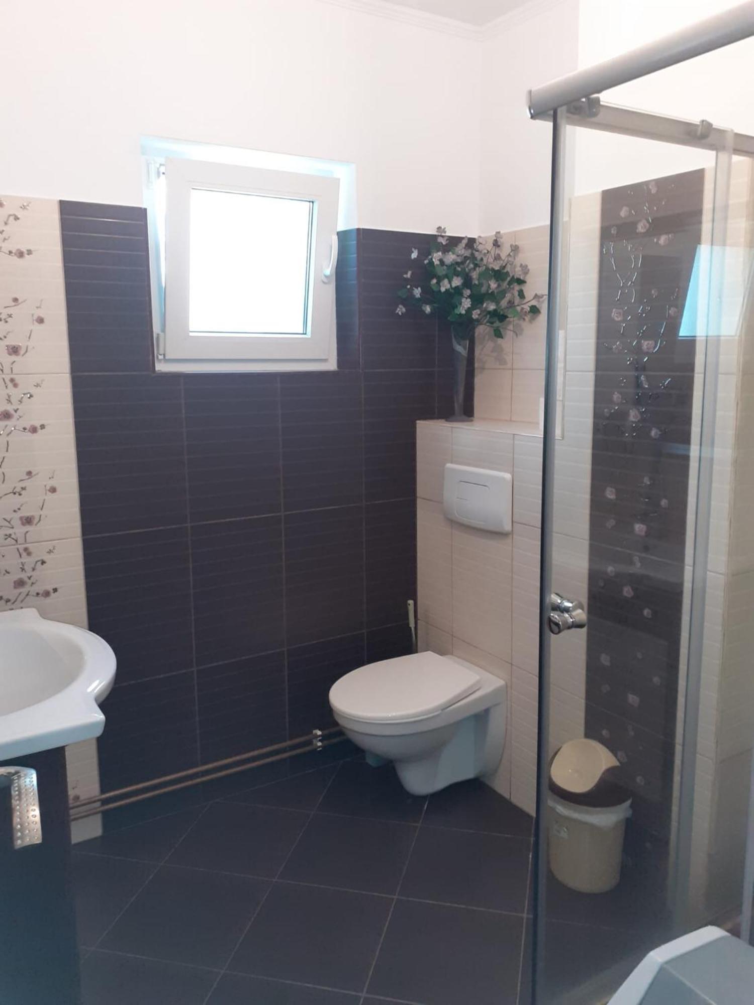Apartament Cu 3 Camere La Poala Muntilor Fagaras فيكتوريا المظهر الخارجي الصورة