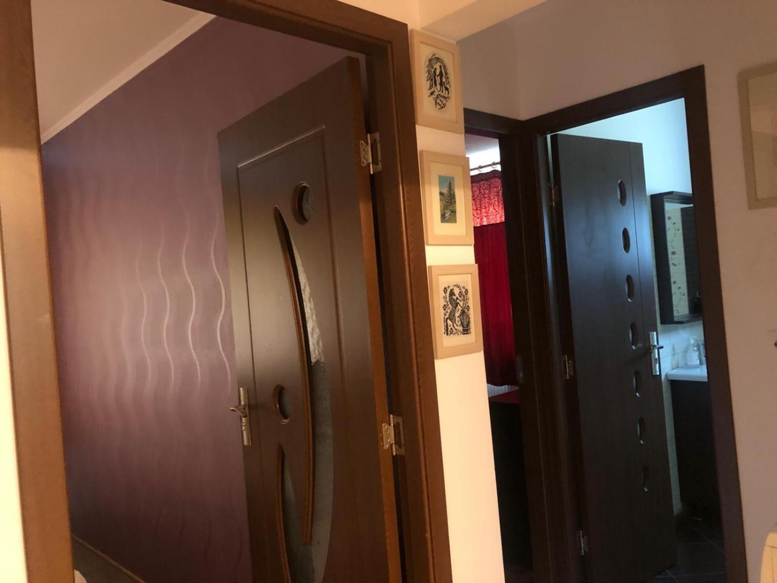 Apartament Cu 3 Camere La Poala Muntilor Fagaras فيكتوريا المظهر الخارجي الصورة
