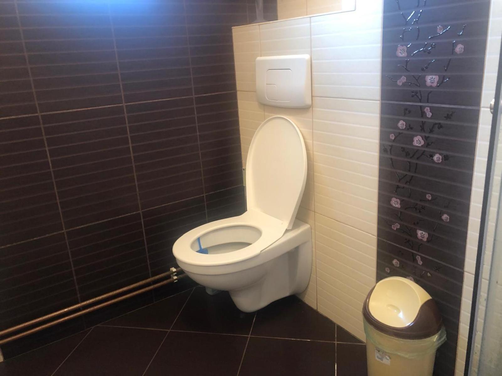 Apartament Cu 3 Camere La Poala Muntilor Fagaras فيكتوريا المظهر الخارجي الصورة