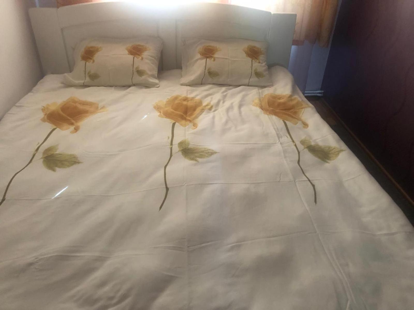 Apartament Cu 3 Camere La Poala Muntilor Fagaras فيكتوريا المظهر الخارجي الصورة